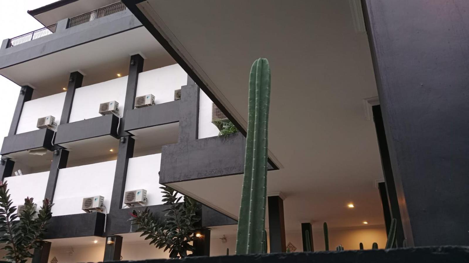 Nomad Hub Canggu Bali Exterior foto